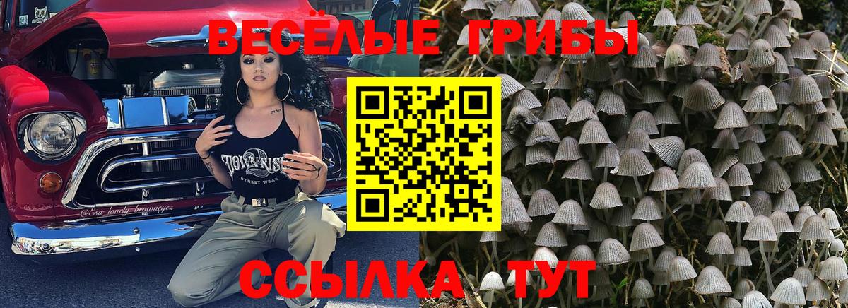 Галлюциногенные грибы ЛСД  где купить наркотик  Лыткарино  Галлюциногенные грибы мицелий  Вход с VPN 