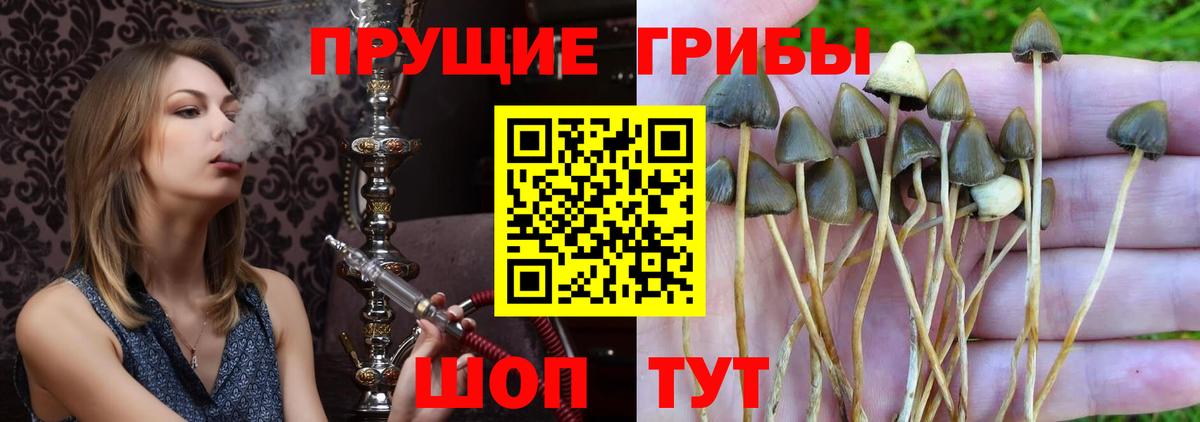 Галлюциногенные грибы мицелий Лыткарино